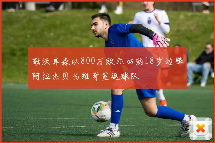 勒沃库森以800万欧元回购18岁边锋阿拉杰贝戈维奇重返球队